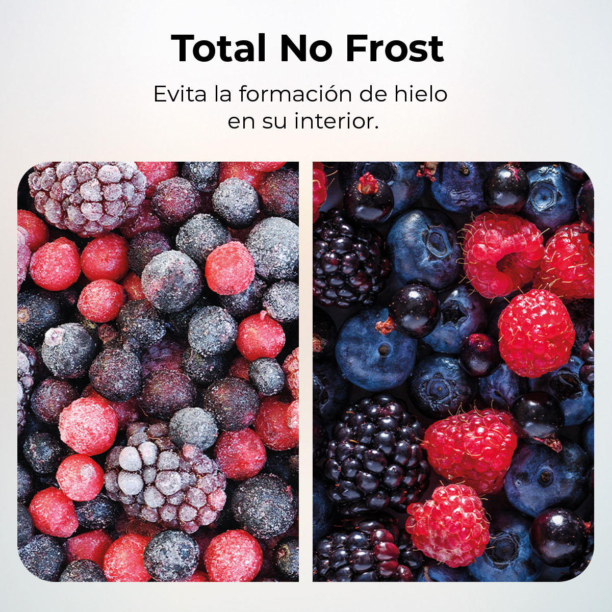 Multi Airflow: temperatura óptima en todo el compartimento que mantiene la vida óptima de los alimentos por un mayor periodo de tiempo gracias a la distribución uniforme de aire frío. Fast Cooling. Mayor rapidez en la refrigeración de los alimentos. compresor inverter plus. Ahorro de energía y de dinero. Gracias al sistema se mantiene la temperatura interior del congelador sin incurrir en mayor gasto, midiendo las condiciones que hay en el interior del congelador y gestiona el funcionamiento en consecuencia.