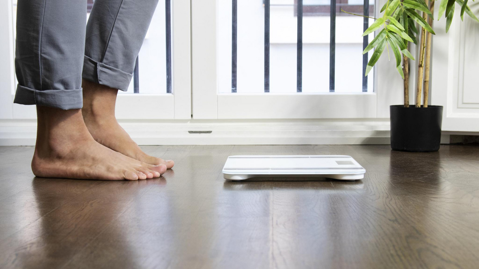 Fácil lectura de los resultados en su pantalla LCD con inversiones de colores de 74 x 38 mm con valores en kilos y libras, para facilitar la visibilidad de la medición. SafeGrip: cuatro patas de silicona que facilitan el agarre al suelo para una gran seguridad.