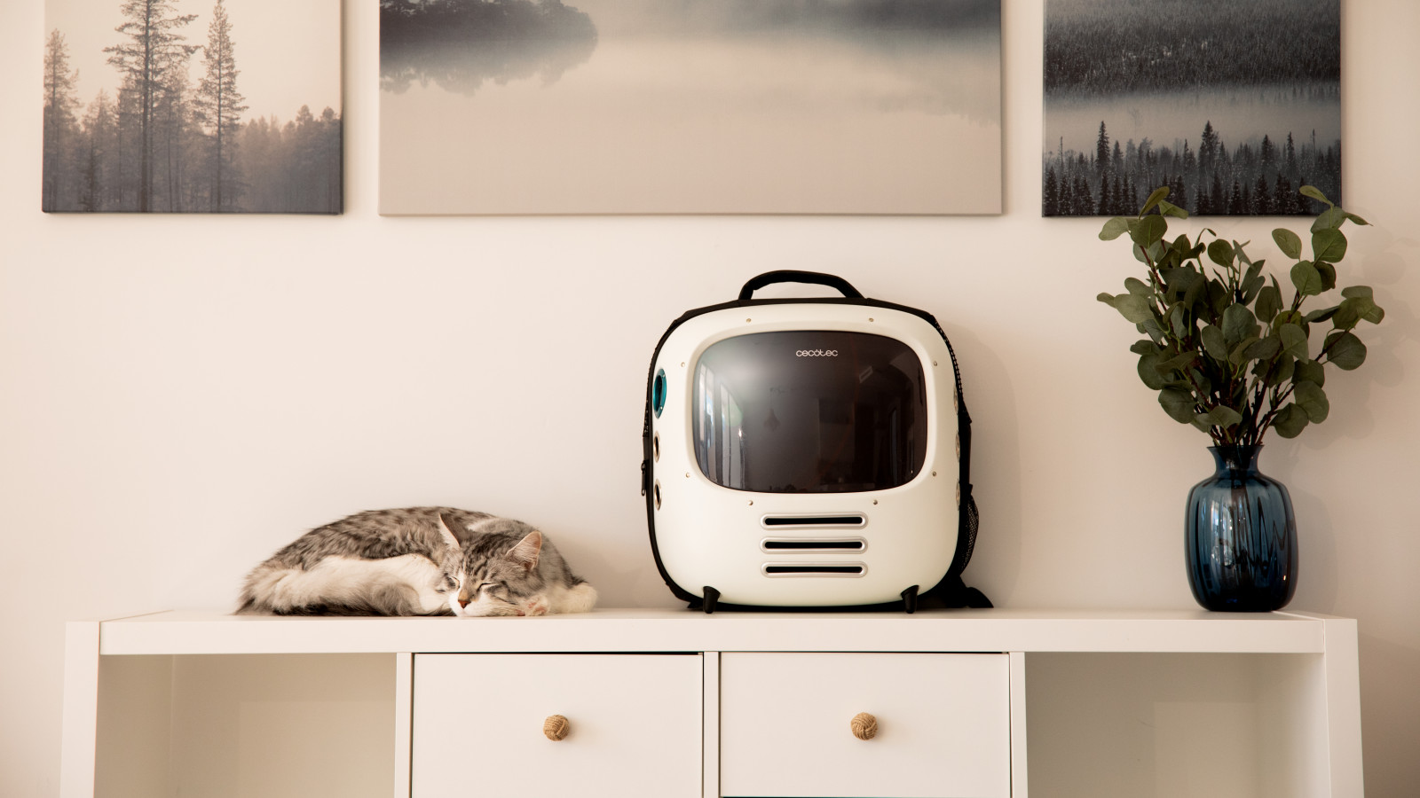 Diseño ergonómico: el transportín absorbe los impactos para una mayor comodidad de tu mascota.
