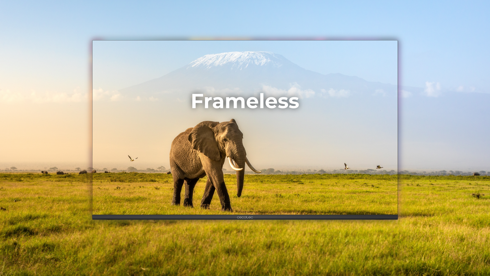 HDMI: comparte pantalla de tus dispositivos sin límites.